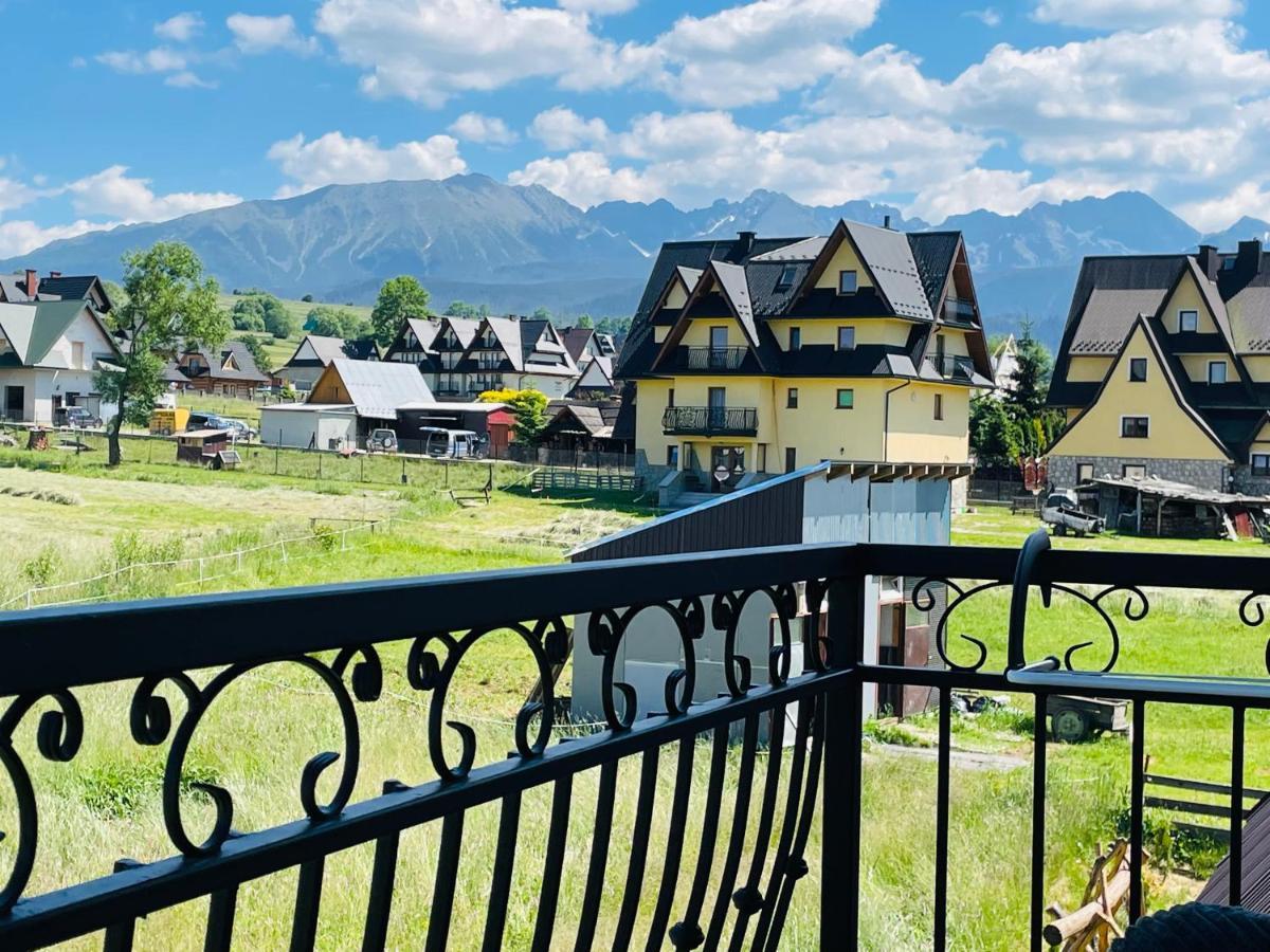 Gasienicowy Widok